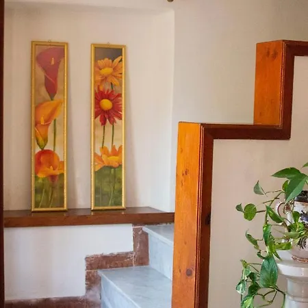 Apartment In Corte Near The Centre *